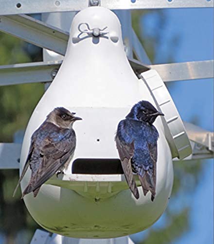 Ravenox Bird Houses for Outside | Flying Martins Purple Martin Vertical