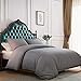Bedding Duvet Cover Set Queen Grey -Premium With Zipper Closure Hotel Quality Hypoallergenic Wrinkle and Fade Resistant Ultra Soft -3 Piece-1 Soft Microfiber Duvet Cover Matching 2 Pillow Shams