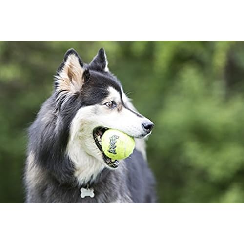 Pet Supplies, Dogs, Toys, Balls