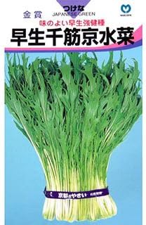 Amazon 水菜 種 早生千筋京水菜 小袋 約７ｍｌ 野菜