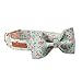 Unique Style Paws Pet Soft &Comfy Bowtie Dog Collar and Cat Collar Pet Gift for Dogs and Cats 6 Size and 7 Patterns