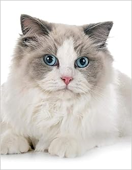 Ragdoll Cat 2020 Weekly Calendar 12 Months 107 Pages 8 5 X