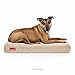 BRINDLE Waterproof Memory Foam Pet Bed - Removable and Washable Cover - 4 Inch Orthopedic Dog and Cat Bed - Fits Most Crates, Khaki