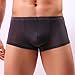 Men Transparent Underwear Boxer ,Vanvler Sexy Male Briefs Shorts Bulge Pouch Underpants (Deep Gray, L)