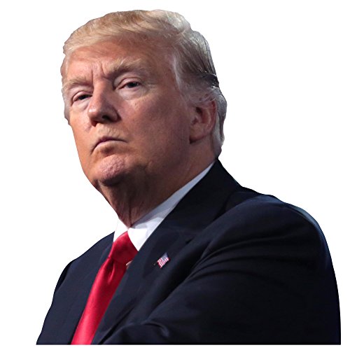 Colorbok Joy Riders Trump Window Cling