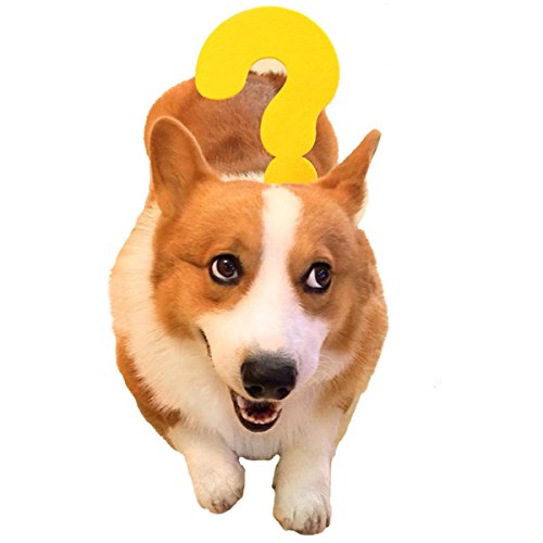 PetBoBo pet Dog Cat Head Funny Joke Trick Toy for Halloween party, Practical Jokes Gag Toys, Fancy Headband (Question mark)