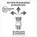 Air Wick plug in Scented Oil 2 Refills, Sugar Cookies, Holiday scent, Holiday spray, (2x0.67oz), Essential Oils, Air Freshener, Packaging May Vary