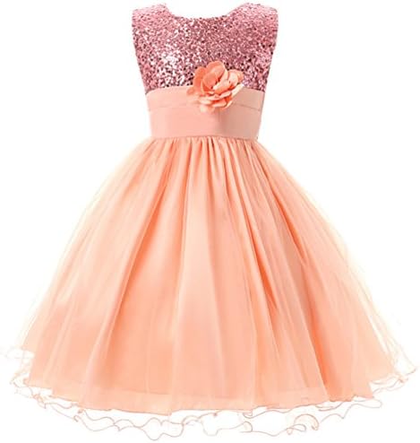Csbks Little Girl Flower Sequin Princess Tulle Party Dress Birthday Ball Gowns