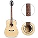 ARTALL 41 Inch Handmade Solid Wood Acoustic Dreadnought Guitar Beginner Kit with Gig Bag, Strings, Picks, Strap, Glossy Black