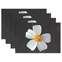 JTMOVING Blooming Blossom Bloom Spring Floral Plant Flower Placemats Set Of 4 Heat Insulation Stain Resistant For Dining Table Durable Non-slip Kitchen Table Place Mats