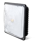 Hyperikon 70W LED Canopy Light , (350W HPS/HID Replacement), 5000K (Crystal White Glow), 5900 Lumens, 9.5