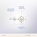 PAVOI Handpicked AAA+ 14K White Gold Plated Sterling Silver Round White Freshwater Cultured Pearl Earrings | Pearl Earrings for Women - 6mm