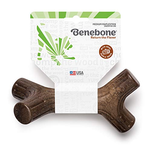 Benebone Maplestick Real Wood Durable Dog Stick Chew Toy, Made in USA, Medium