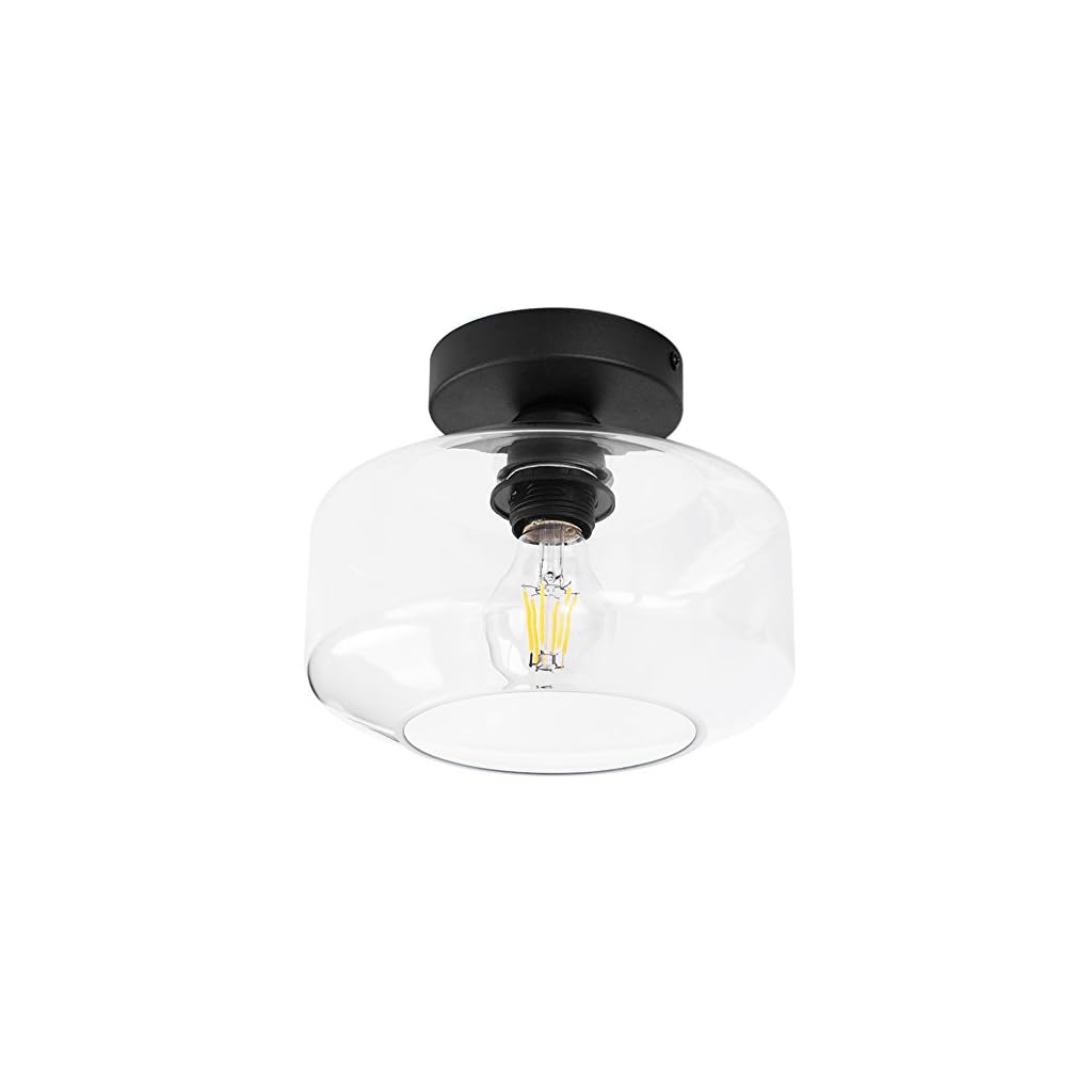 TeHenoo Industrial Ceiling Light Fixture with Clear Glass Shade, Semi