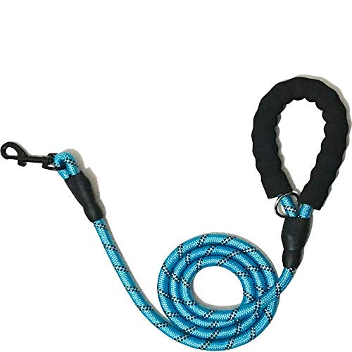Elite Dog Lead (TURQUOISE)