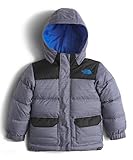 The North Face Little Boys' Toddler Harlan Down Parka (Sizes 2T - 4T)