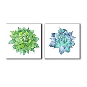 2 Panel Square Canvas Wall Art - Watercolor Style Succulent Plant on White Background - Giclee Print Gallery Wrap Modern Home Art Ready to Hang - 12"x12" x 2 Panels