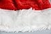 Idepet Santa Dog Costume Christmas Pet Clothes Winter Hoodie Coat Clothes for Dog Pet Clothing Chihuahua Yorkshire Poodle (M)