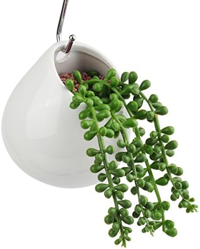 Digsky Wall-mounted Planter, Round Ceramic Hydroponic Succulent Planter (no hole)