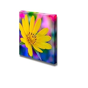Flower on a Colorful Background Wall Decor