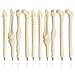 MXXGMYJ Creative Novelty Bone Shape Ink Ballpoint Pens Finger Pen Nurse Doctor Pen Stationery Gift Crazy Student Gift Pack of 20