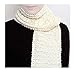 Beginner's Scarf Knit Kit with Encore Worsted Yarn (Creamy White)