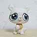 GOOD LUCK CHARMLittlest Pet Shop Collection LPS Toy Yellow Short Hair Kitten Cat