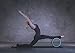 Yoga Wheel Basic 12