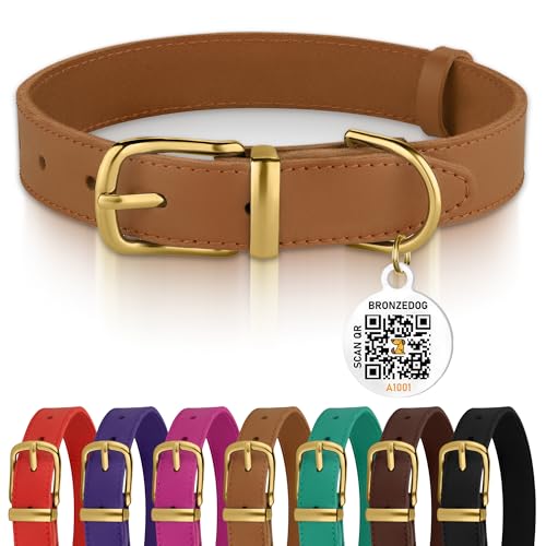 BronzeDog Leather Dog Collar