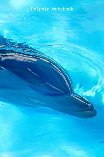 Dolphin Notebook: Small lined Dolphin notebook - Travel Journal to write in - 120 pages - 6"x9"