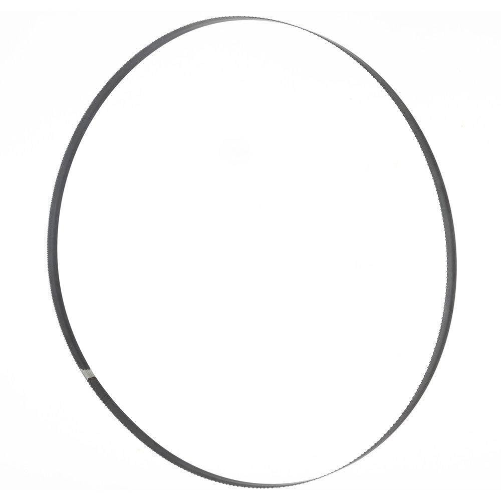 Holzmann Maschinen BSB230B10 Bandsaw Blade 1575 x 10 x 0.36 mm 6 TPI