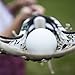 Champion Sports Colored Lacrosse Balls: White Official Size Sporting Goods Equipment for Professional, College & Grade School Games, Practices & Recreation - NCAA, NFHS and SEI Certified - 1 Pack
