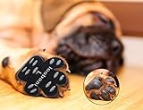 LOOBANI 48 Pieces Dog Paw Protector Traction Pads to Keeps Dogs from Slipping On Floors, Disposable Self Adhesive Shoes Booties Socks Replacement, 12 Sets for 4 Paws (L-1.69