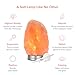Levoit Aurora Salt Lamp, Himalayan / Hymilain Sea Salt Lamps, Pink Large Salt Rock Lamp, Night Light, 18/8 Stainless Steel Base, Dimmable Touch Switch, Luxury Gift Box (ETL Certified, 2 Extra Bulbs)