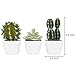 MyGift 4-inch Assorted Artificial Cactus Plants, Mini Fake Desert Plants in White Square Pots, Set of 3