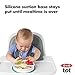 OXO Tot Stick & Stay Suction Divided Plate - Teal, 1 Count (Pack of 1)