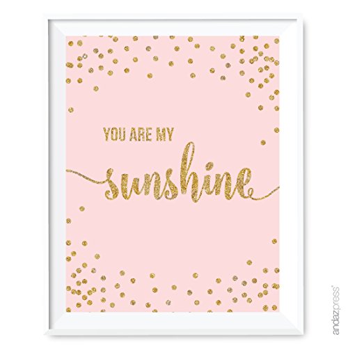 Andaz press blush pink gold glitter girl s 1st birthday…