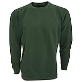 Comfort Colors Adults Unisex Crew Neck Sweatshirt (XL) (Willow)