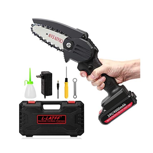 Rowa Mini Electric CHAPASAW CORDLESE, Batteriekettensägen zum Schneiden von Holz, Spitzenscheren für Baumzweig…