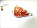 Jet Exquisite Carnelian Orgone Pendulum 2 inch Jet International Crystal Therapy Healing Power Peace Prosperity Divine Gemstone