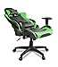 Verona V2 Advanced Racing Style Gaming Chair with High Backrest, Recliner, Swivel, Tilt, Rocker & Seat Height Adjustment, Lumbar & Headrest Pillows Included, Green - PC/Mac/Linux