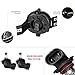AUTOSAVER88 Glass Lens Fog Lights 9006 12V 51W Halogen Lamp Competible for 2002-2008 Dodge Ram 1500\2500 Pick Up Truck with Wiring Kit and Lamp Bracket