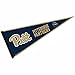 Pittsburgh Pennant Full Size Felt