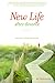 New Life After Divorce: The Promise of Hope Beyond the Pain - Book by Bill Butterworth