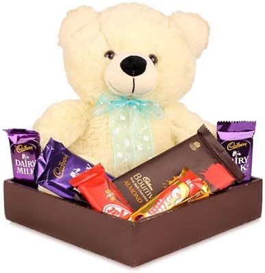 SFU E Com Chocolate with Cute Teddy Gift Hamper | Gift for Holi, Rakhi, Diwali, Anniversary, Birthday, Christmas, Valentine, Her, Him | Assorted Chocolate Gift | 100
