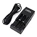 Demonfire Battery Charger D1 for IMR Lithium-Ion 18650 18350 16340 14500 10440 18500 18490 17670 17500 LiFePO4 Batteries