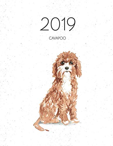 2019 Cavapoo: Dated Weekly Planner With To Do Notes & Dog Quotes - Cavapoo (Awesome Calendar Planners for Dog Owners) by Topwuff Books