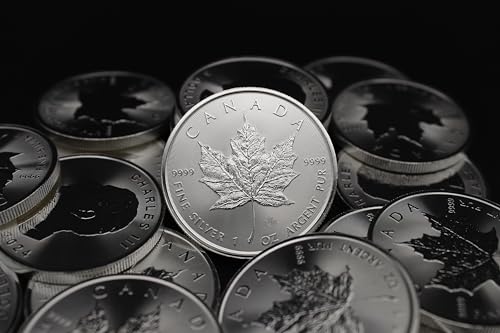 2023 - Lot of (25) 1 oz Canadian Maple Leaf Silver Coins Brilliant Uncirculated with Certificates of Authenticity $5 Seller BU