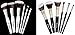 6 Piece Eye Brush Set