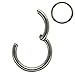 NewkeepsR 3PCS-16G(1.2mm) G23 Titanium Hinged Clicker Segment Seamless Nose Hoop Ring, Cartilage Sleeper Tragus Earring for Women-6/7/8mm